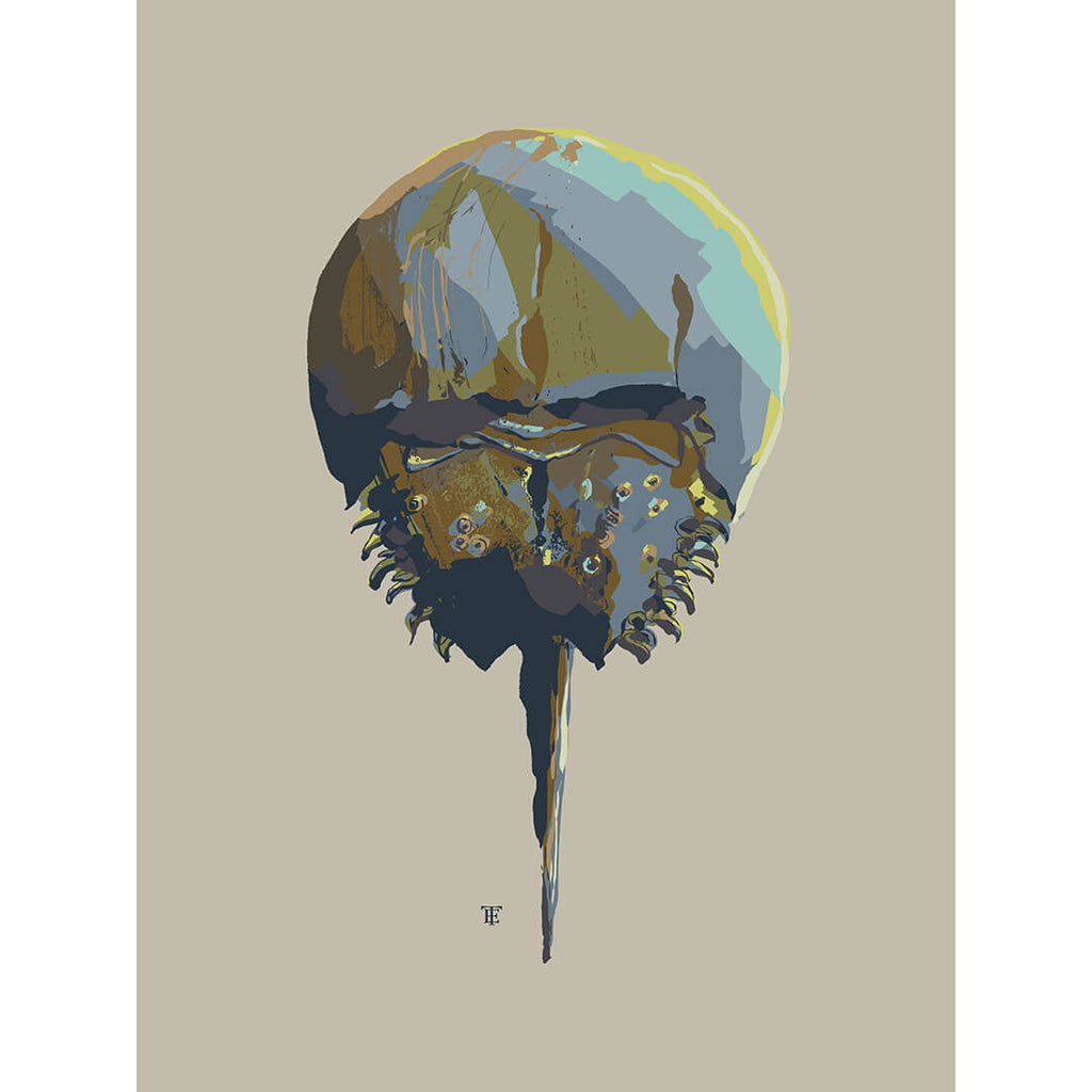 horseshoe crab art in muted colors