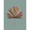 modern botanical palmetto frond art print in turquoise, green, and pink