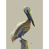 modern coastal pelican art print in beige and navy blue