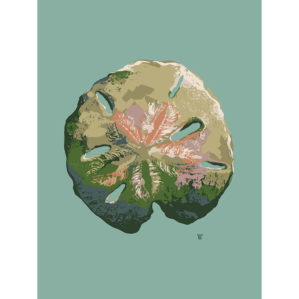 modern coastal sand dollar art print in turquoise, pink, and green