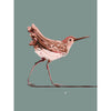 modern coastal sandpiper art print in green, pink, and coral colors