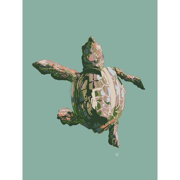 modern coastal baby sea turtle art print in aqua, teal, and green