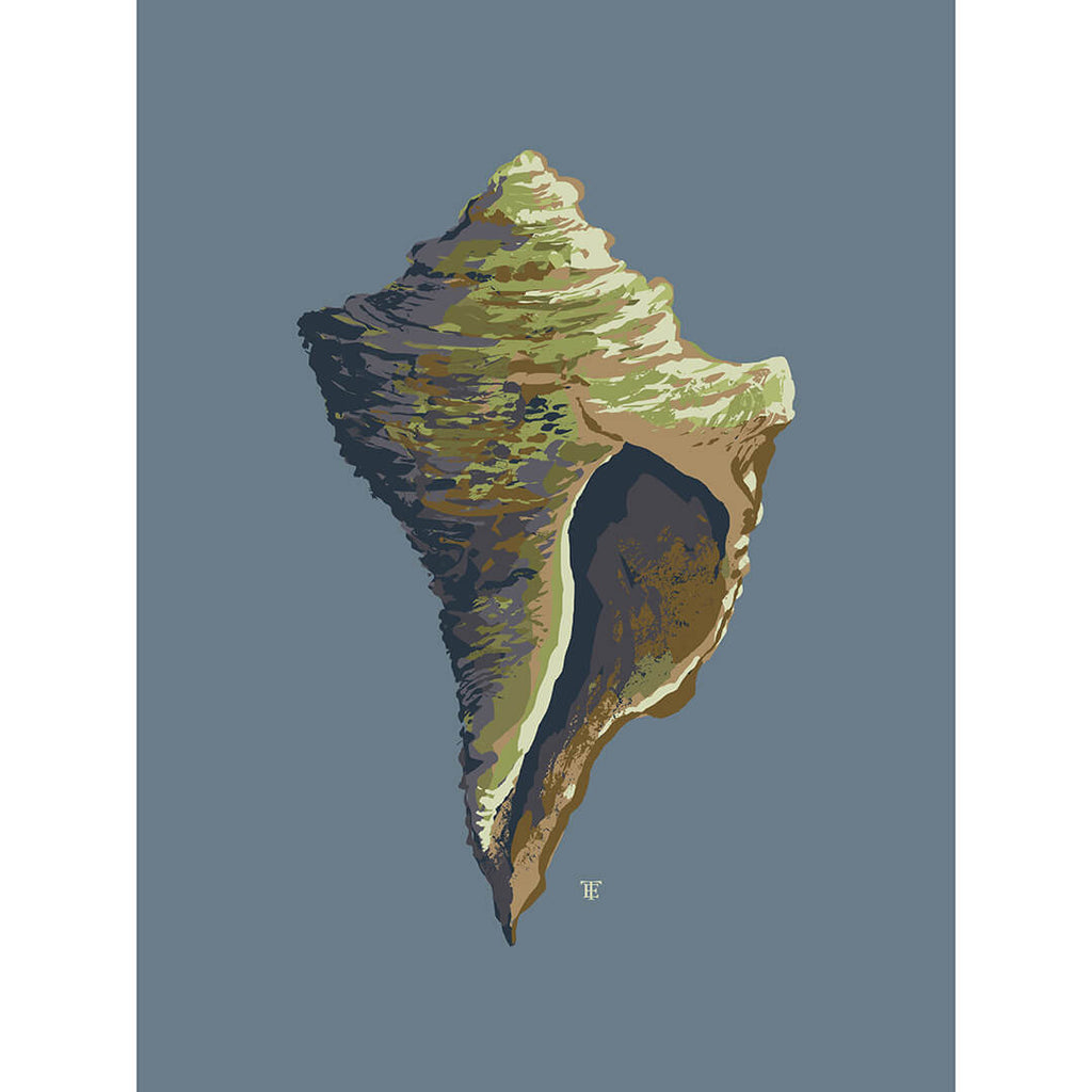 Hamptons style whelk shell art print in blue and green