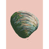 hamptons style clam shell art print in pink and green