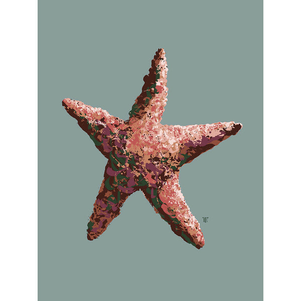 Modern coastal starfish art print in teal, burgundy, and pink
