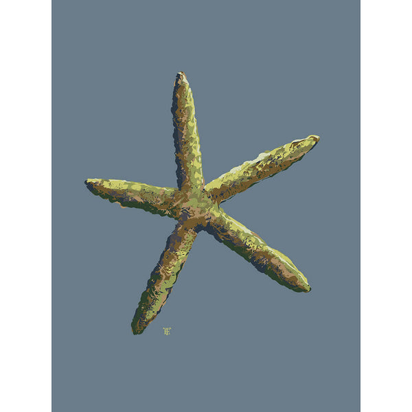 hamptons style starfish art print in blues and greens