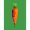 modern carrot art print in bright colors