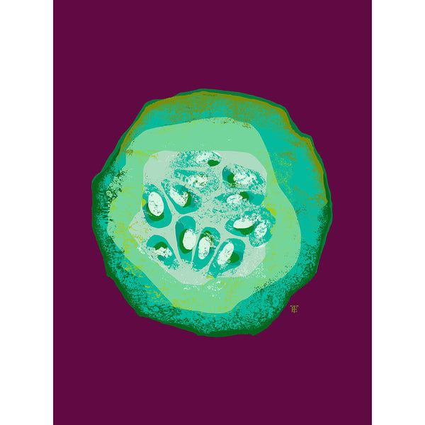 cucumber slice art print in bold colors