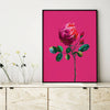 stylish rose art print in modern interior