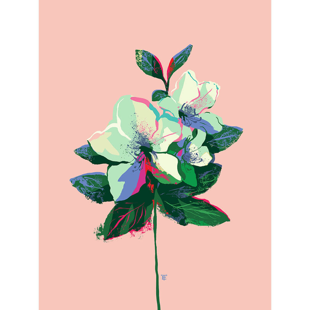 modern floral azalea art print in pink and green