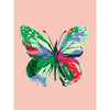 colorful modern butterfly art print painting in pink, green red