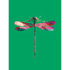 colorful modern dragonfly art print on green background