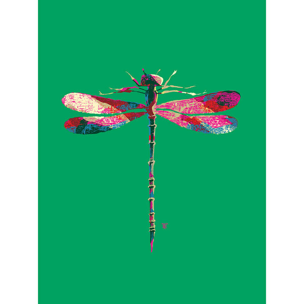 colorful modern dragonfly art print on green background