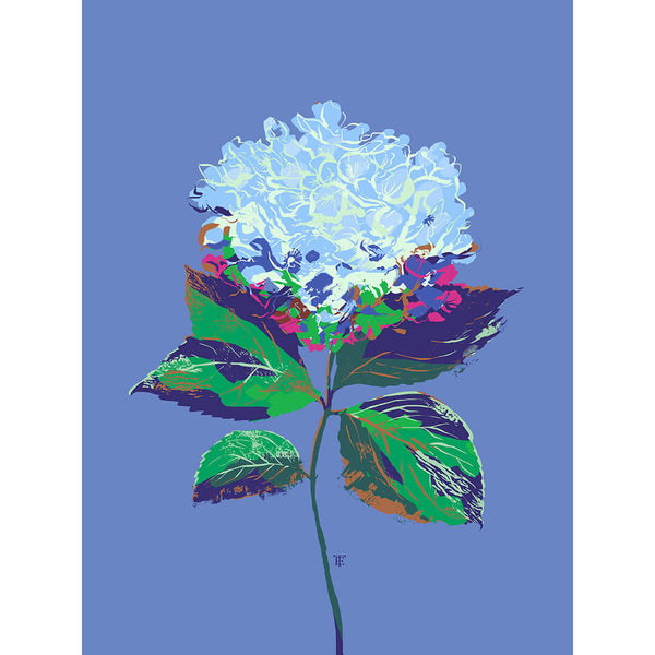 modern chinoiserie hydrangea print in blue, green, and pink