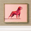 framed pink rottweiler print