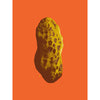 pop art peanut are print in orange and tan