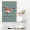 modern coastal sandpiper art print in green, pink, and coral colors