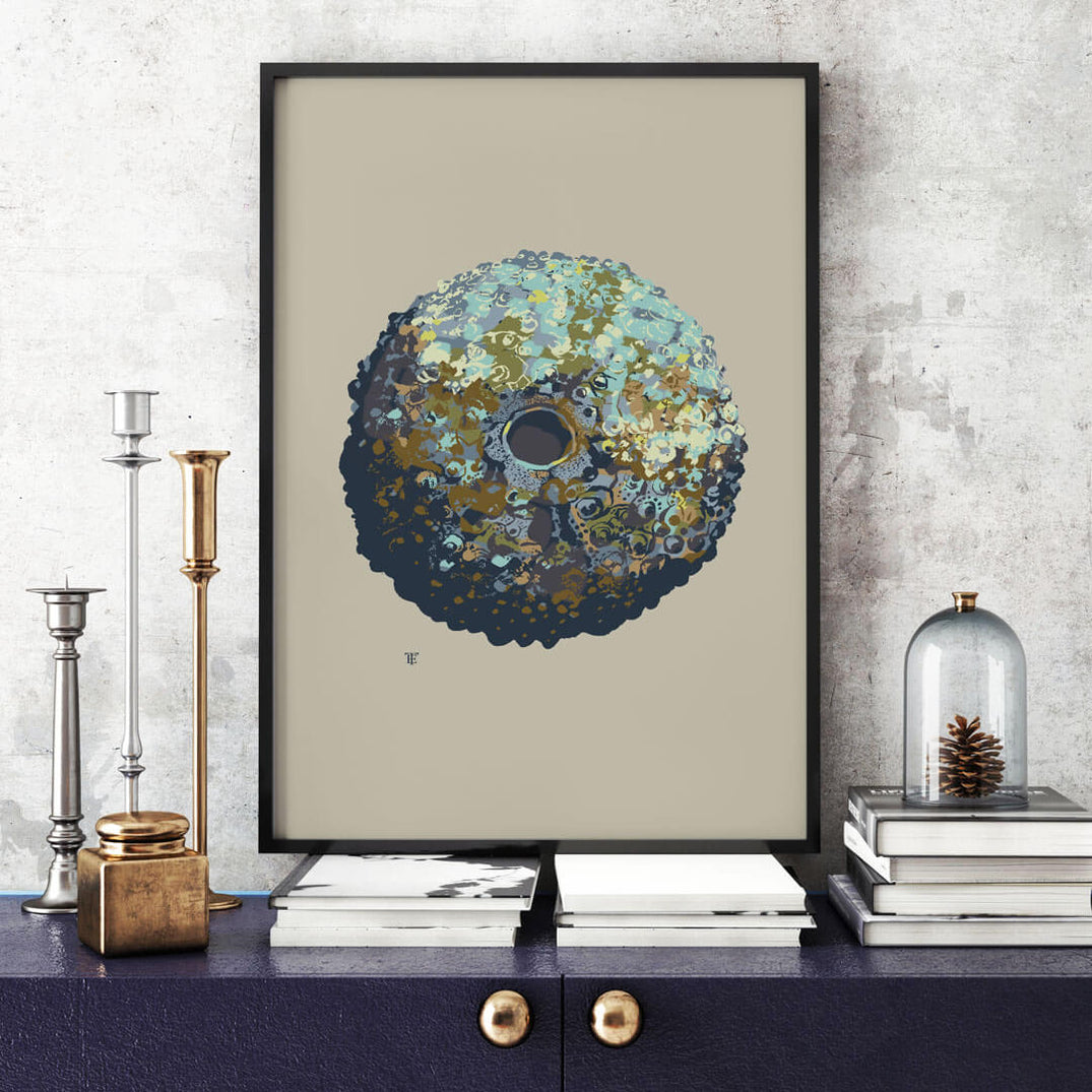 Sea Urchin Wall Art Abstract Sea Life Painting by Elise Thomason Elise Thomason Print Studio