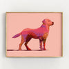 pink labrador retriever art print