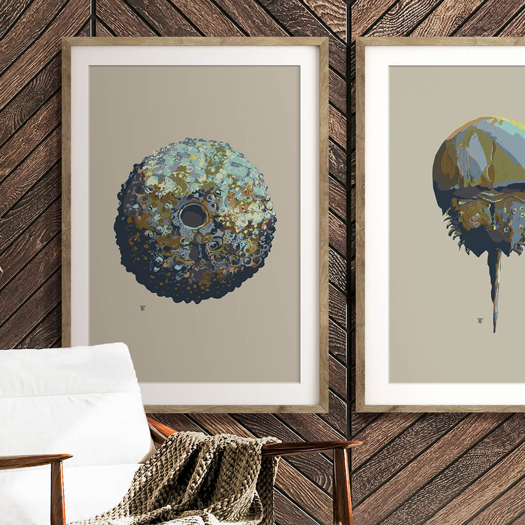 muted-color abstract sea life paintings in a modern beach house interior